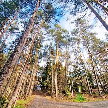 Bungalow Direkt Am See, Mit Eigenem Boot Roding Esterno foto