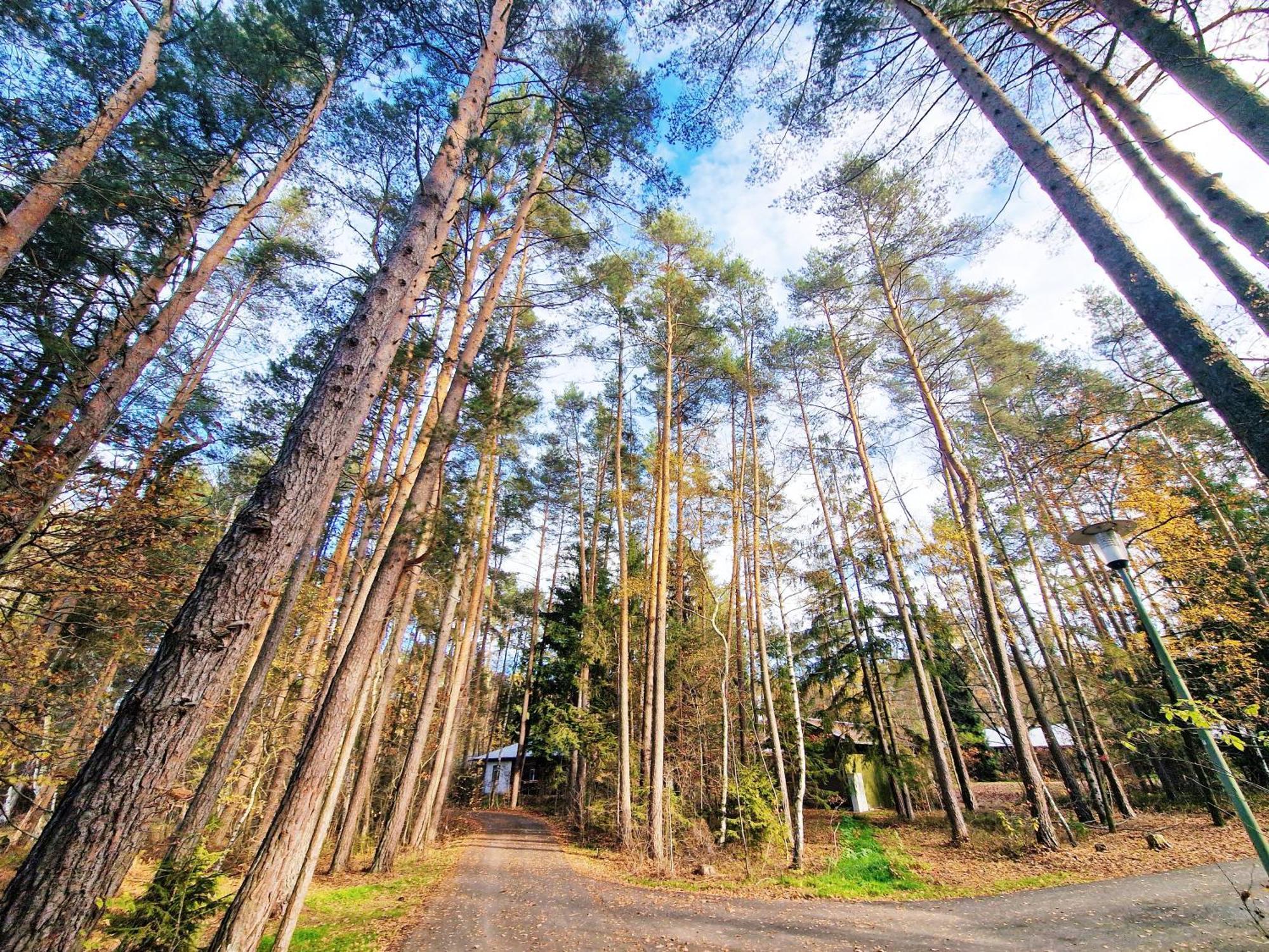 Bungalow Direkt Am See, Mit Eigenem Boot Roding Esterno foto