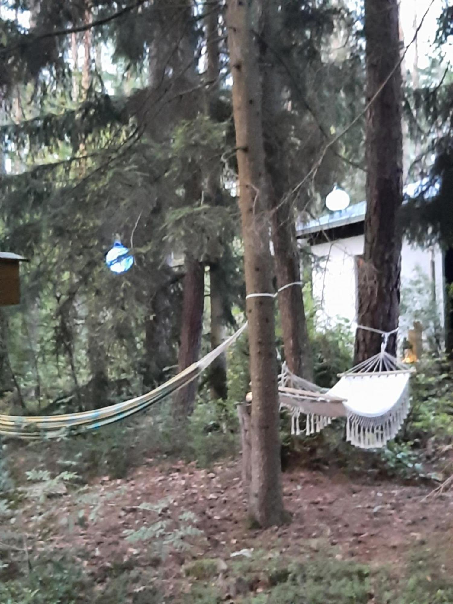 Bungalow Direkt Am See, Mit Eigenem Boot Roding Esterno foto